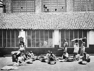 Limpieza y clasificación del café, Colombo, 1870